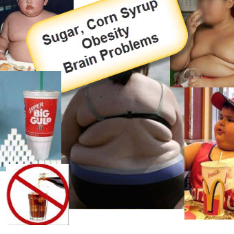 Sugar, Corn Syrup, Obesity, Brain Problems